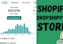create shopify store design shopify dropshipping store redesign shopify website